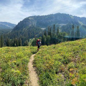 Meet your Posher, Fiorella